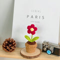 B Style Red Puff Flower Potted Plant