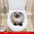 MT253024 Kitten E