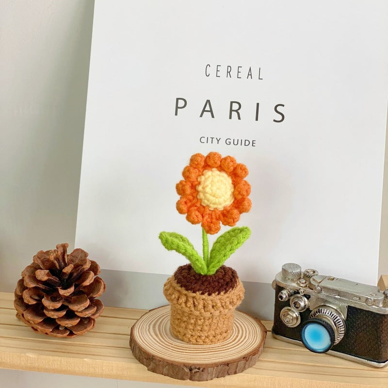 Textured green succulent display